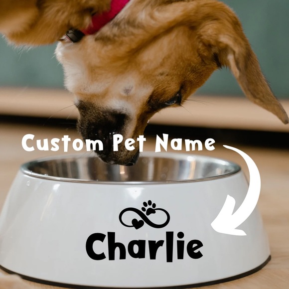 Custom Cats and Dogs Bowl Name Decal - 4 Inches- 2 Pack - Picture 1 of 7
